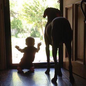 Meet your Posher, Alison