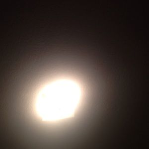 Meet your Posher, Tamara