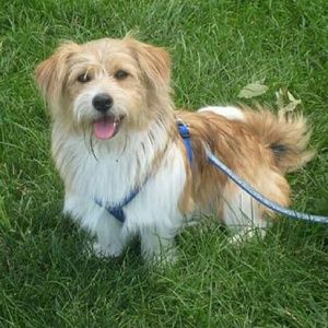 Meet your Posher, Veronica