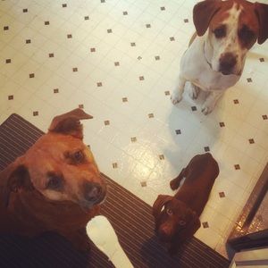 Meet your Posher, Kayley