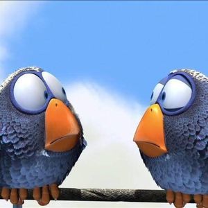 Meet your Posher, Barbara