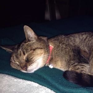 Meet your Posher, Terri