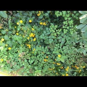 Meet your Posher, Mari