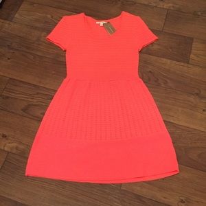 Fun Summer Dress