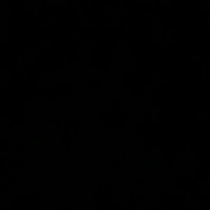 Meet your Posher, Daisy