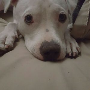 Meet your Posher, Suzy