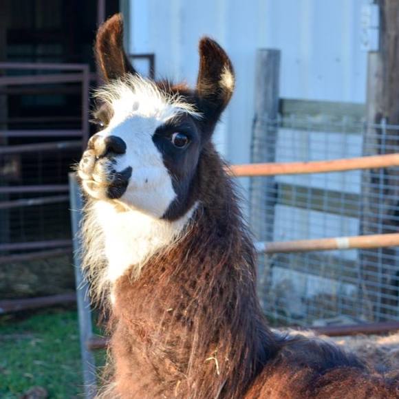 Meet your Posher, Ang