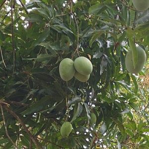 Meet your Posher, Etienne