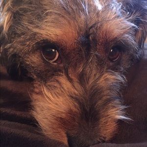 Meet your Posher, Ali