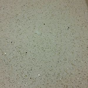 Meet your Posher, Polly