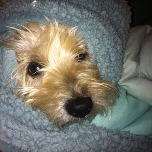 Meet your Posher, Natalie