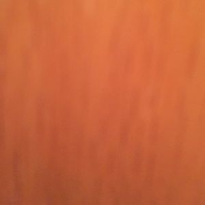 Meet your Posher, Alane