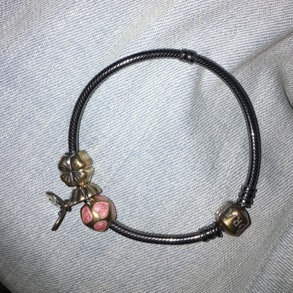 Pandora Charm Bracelet