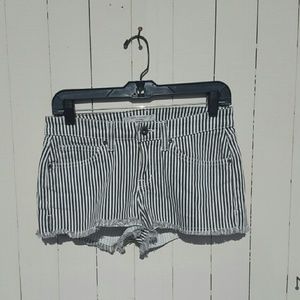Rich & Skinny Striped Shorts