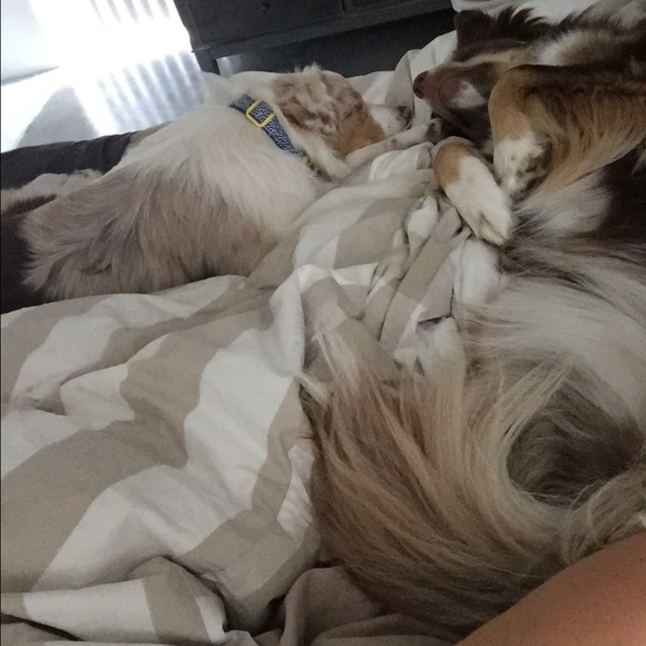 Meet your Posher, Brittni - Picture 2 of 2