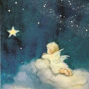 Meet your Posher, Jeanmarie