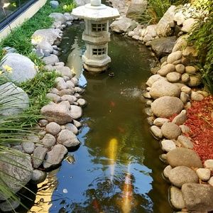 Meet your Posher, Latasha