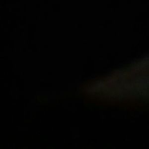 Meet your Posher, Bridget