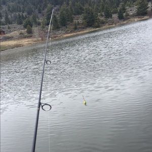 Meet your Posher, Jennalee