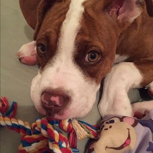 Meet your Posher, Justina