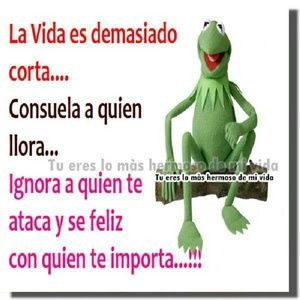 Meet your Posher, Chavez