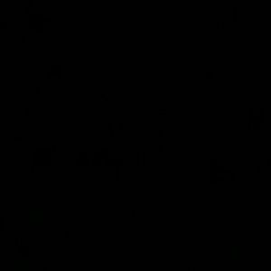 Meet your Posher, Patty