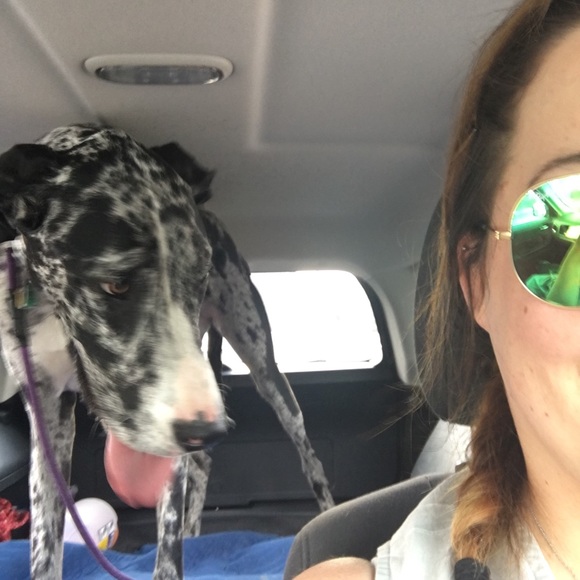 Meet your Posher, Anna