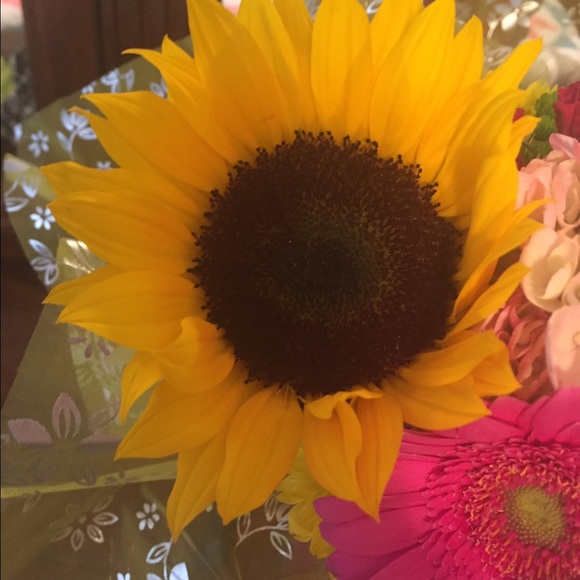 Meet your Posher, Dakotah