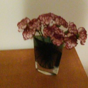 Meet your Posher, Patricia