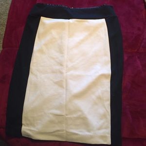 Pencil Skirt