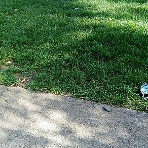 Meet your Posher, Misty