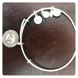 Delta zeta Alex and Ani bracelet