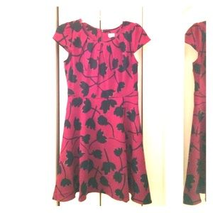 Ann Taylor Loft dress