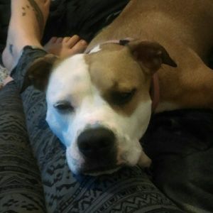 Meet your Posher, Mattie