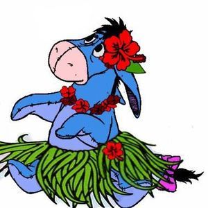 Meet your Posher, Susan