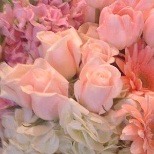 Meet your Posher, Olivia