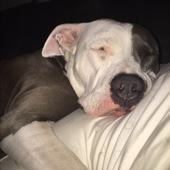 Meet your Posher, Diana - Picture 2 of 4