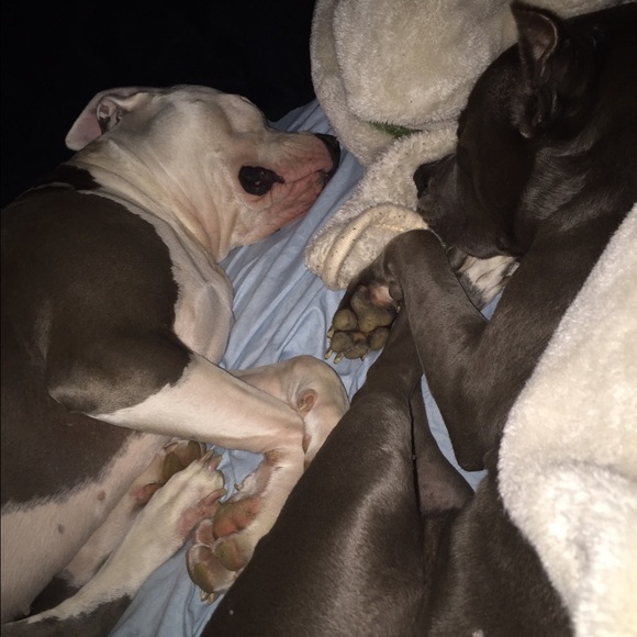 Meet your Posher, Diana - Picture 4 of 4