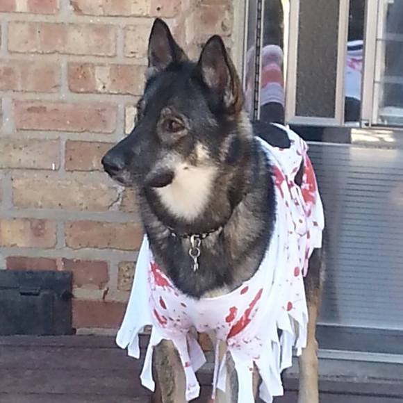 Meet your Posher, Cathy - Picture 1 of 1