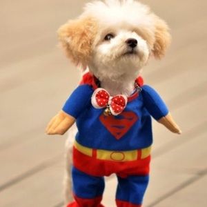 Meet your Posher, Ka cheng