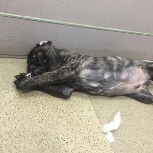 Meet your Posher, Brooke