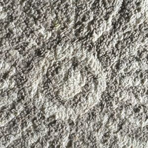 Meet your Posher, Bera