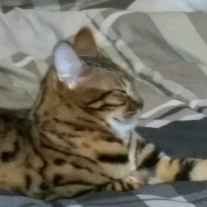 Meet your Posher, Michele