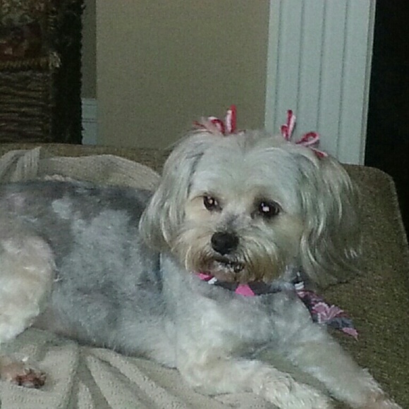 Meet your Posher, Stephanie - Picture 1 of 1