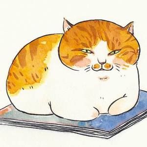 Meet your Posher, Danlu