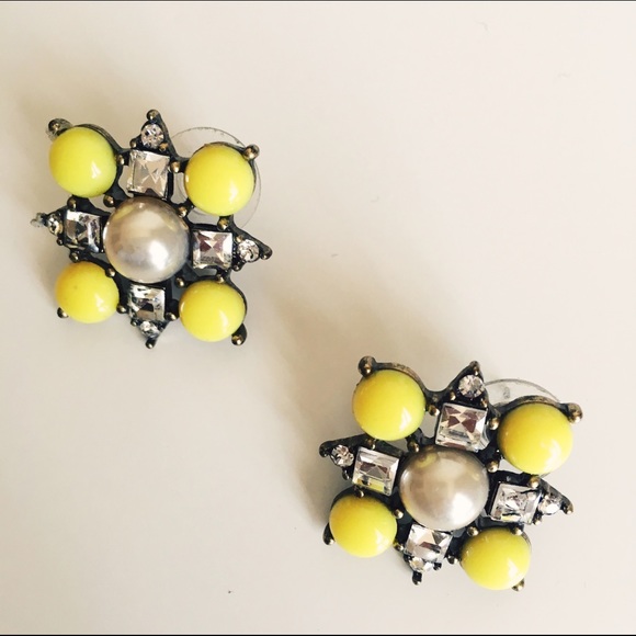 ✨HP✨ Anthropologie earrings