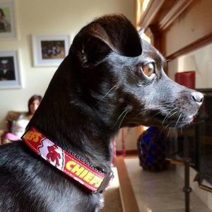 Meet your Posher, Jess