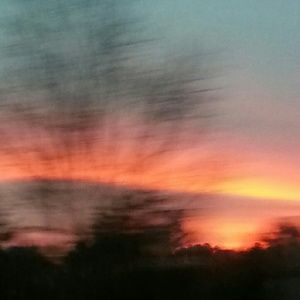 Meet your Posher, Eden