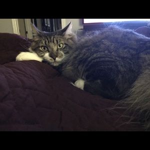 Meet your Posher, Jenny