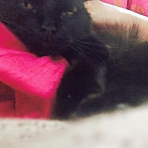 Meet your Posher, Muneera